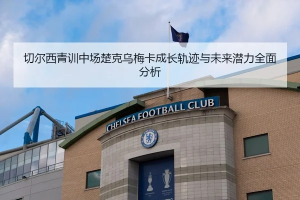 切尔西青训中场楚克乌梅卡成长轨迹与未来潜力全面分析